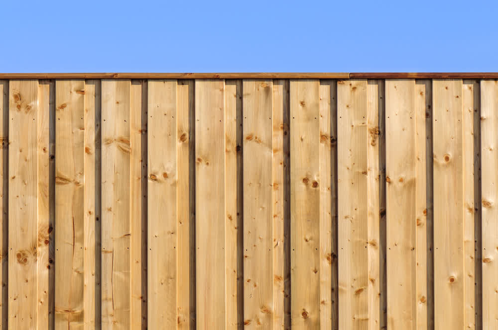 Close-up of wooden fence